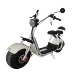 eDrift Fat Bear Fat City Electric Fat Tire Scooter – Dual Suspension, 28 Mile Range, Dual Battery Storage [PREORDER 6-8 WEEKS] - Image 2