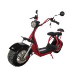 eDrift Fat Bear Fat Road Electric Fat Tire Scooter [PREORDER 6-8 WEEKS] - Image 4